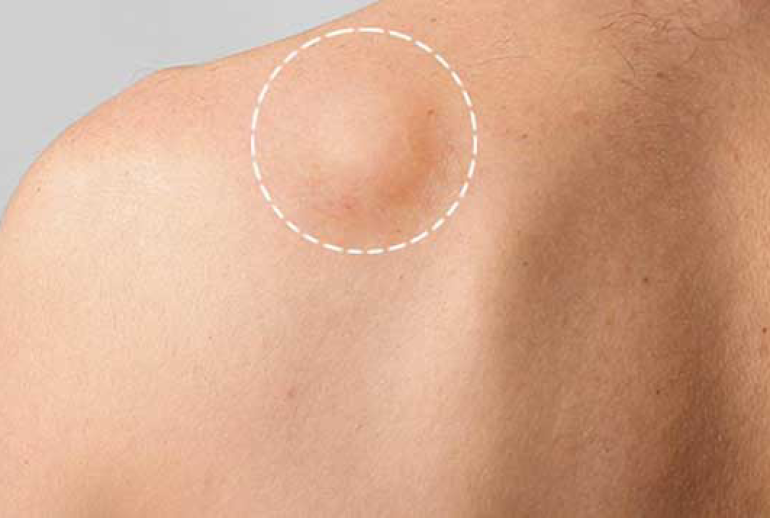 ۱۷۳۹۳۴۷۲۰۵.296679_467532_image 1739347205.296679_467532_image